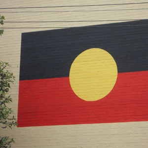 Indigenous Flag