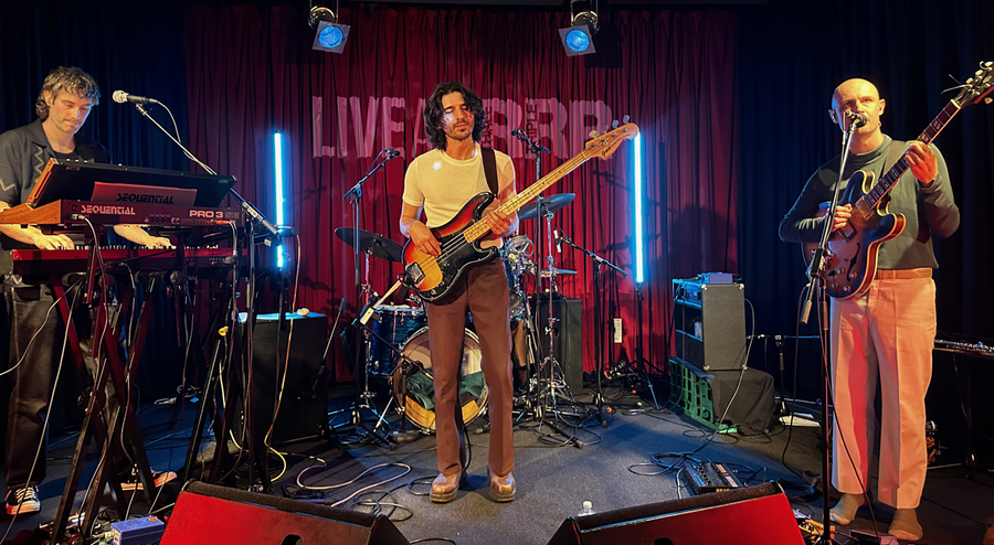 Mildlife Live at RRR 2