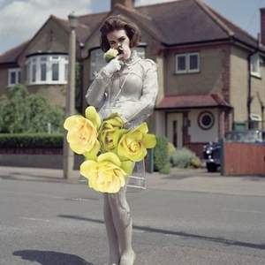 Linda Sterling - Frank