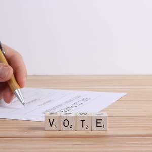 vote-paper-wuestenigel
