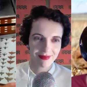 Museums Victoria on Uncommon Sense segment