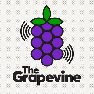 Grapevine feature image updated