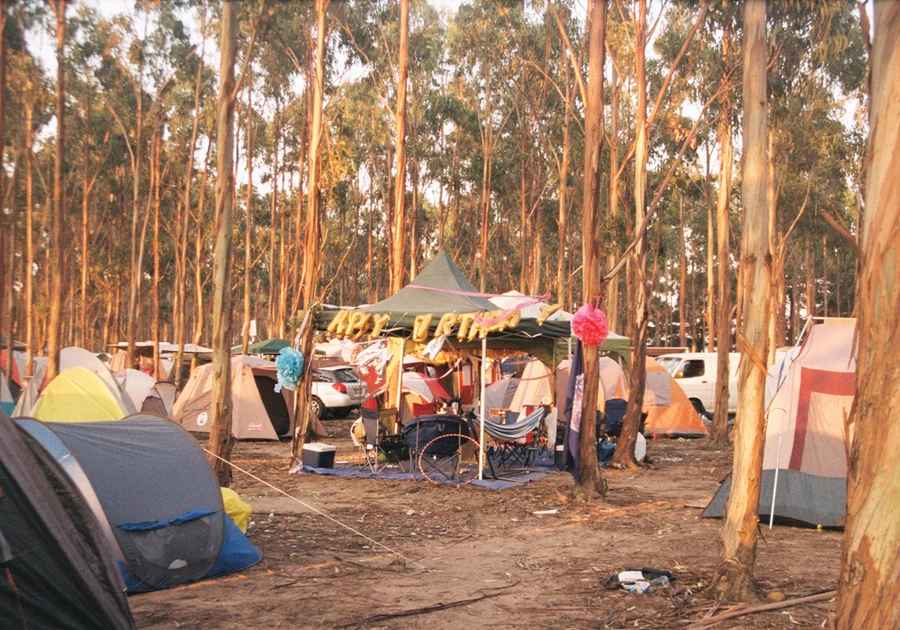 Golden Plains 2019 Gallery 04