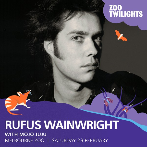 Rufus Wainwirght at Zoo Twilights