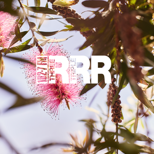 Summer Programming 2025