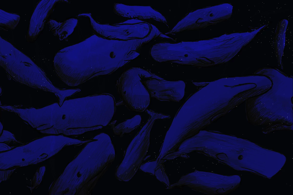 The Aquarium
