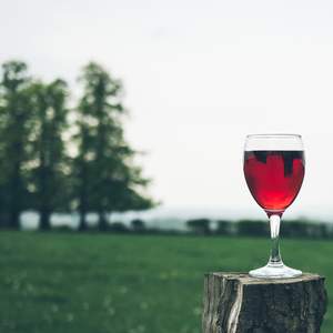Lonely Wine Glass Stock Photo