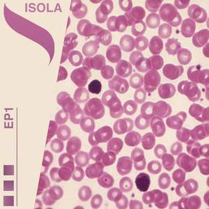 Isola