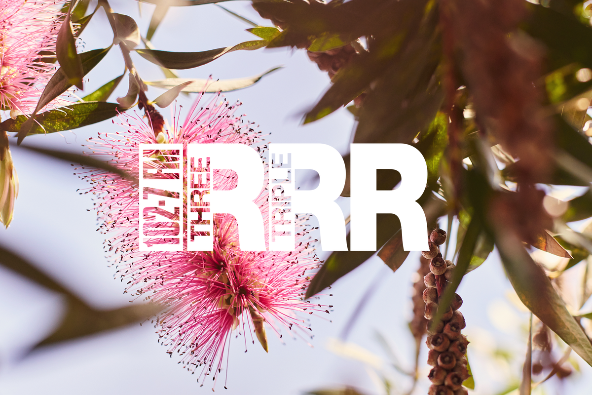 Summer Programming 2025