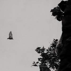 Mystifying Melbourne Program Image